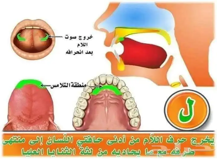 تعليم صعوبات التعلم والنطق ومخارج الحروف والقاعدة النورانيه 6