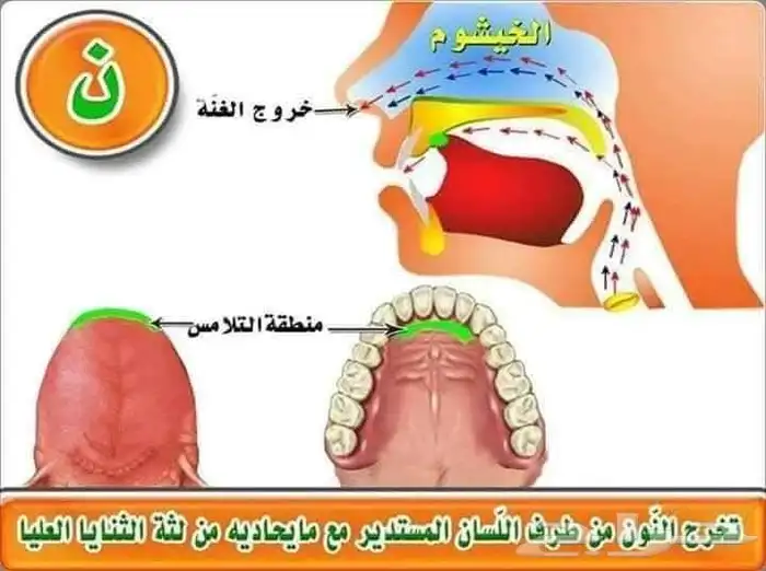 تعليم صعوبات التعلم والنطق ومخارج الحروف والقاعدة النورانيه 7