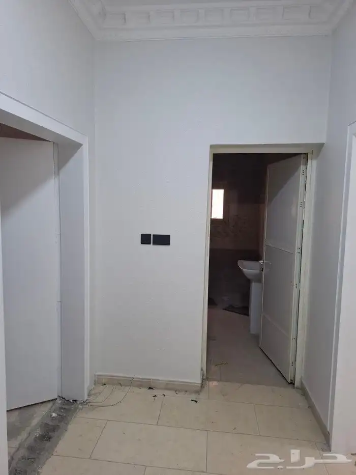 اصباغ الأحساء 11