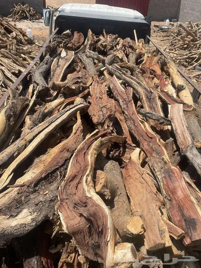 بقلاوة سمر المدينه 3