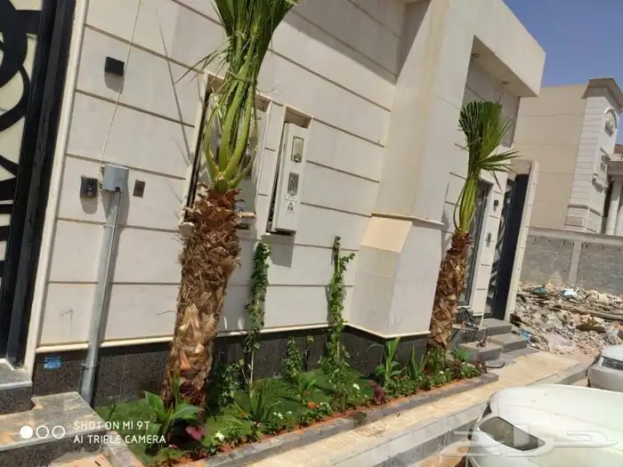 مشتل بيع الزهور والشتلات الزراعيه بجميع انواعها مع الصيانه ا 1