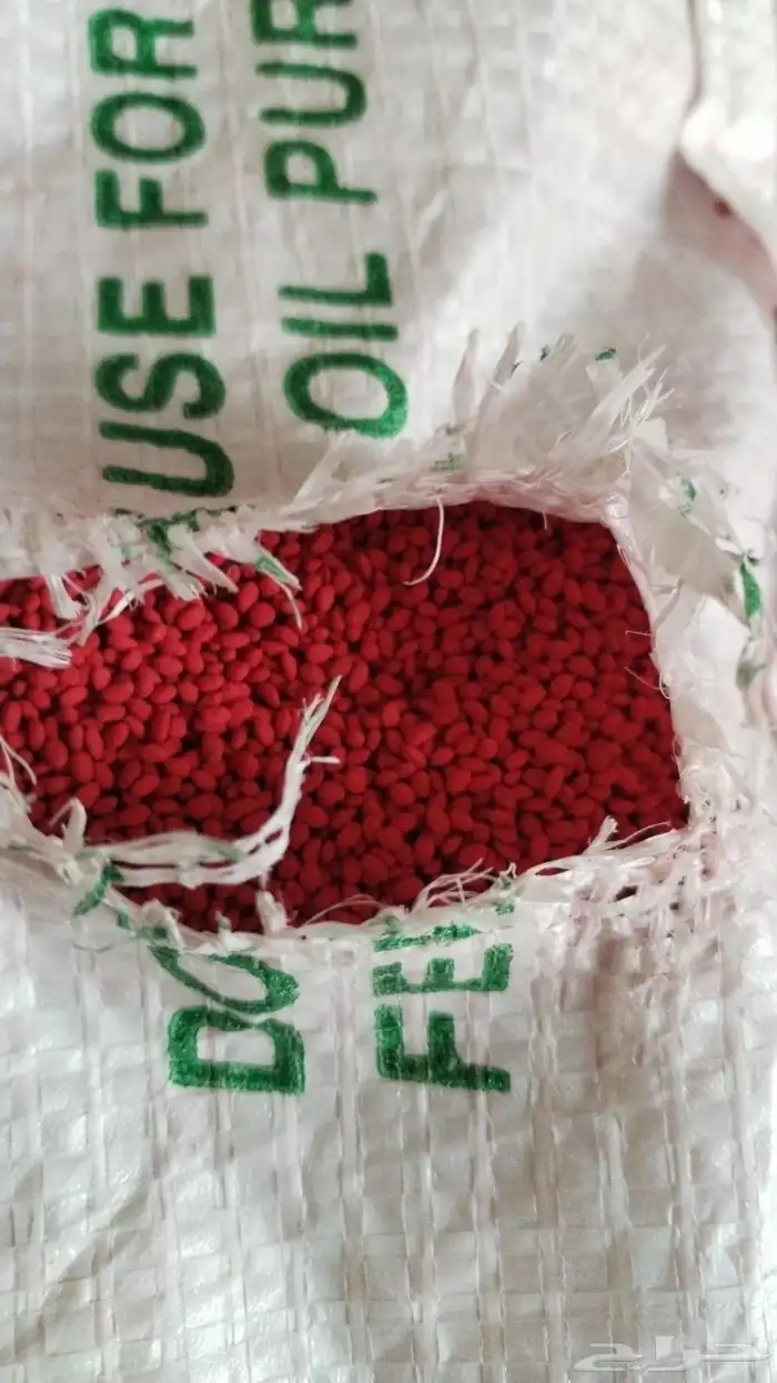 بذور برسيم أمريكي كاف101مغلف 0