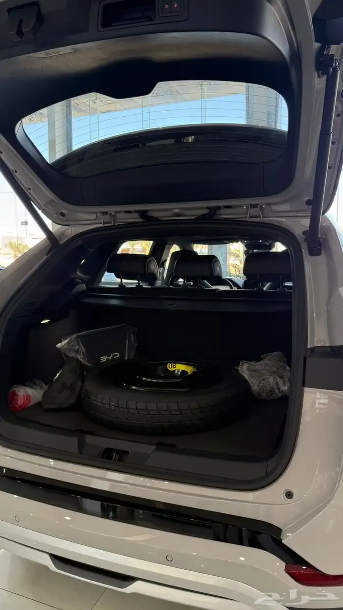 بي واي دي سونج 2026 7