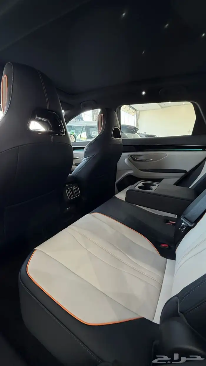 بي واي دي سونج 2026 1