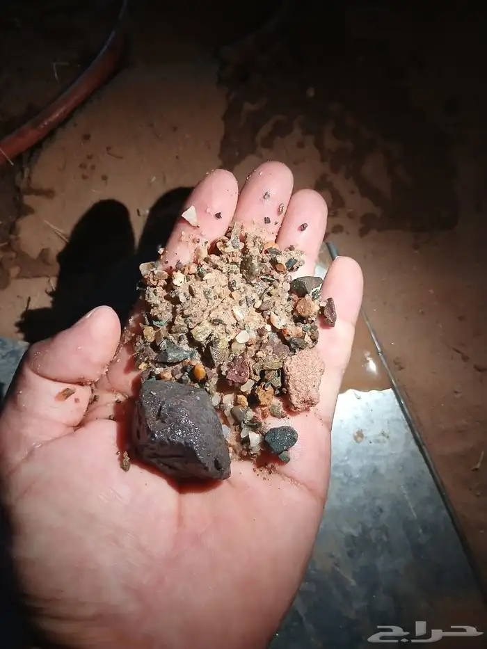 نحن في خدمه المزارع بأحدث الطرق الناجحه ان شالله 0