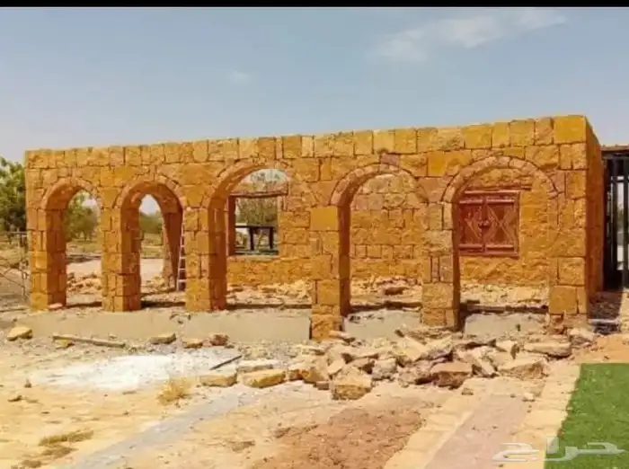 مشاءالله تبارك الله نخل وصل اليوم 2