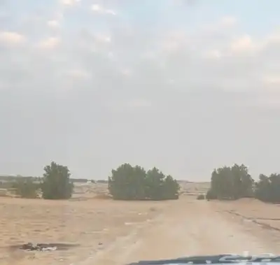 مزرعة للإيجار index