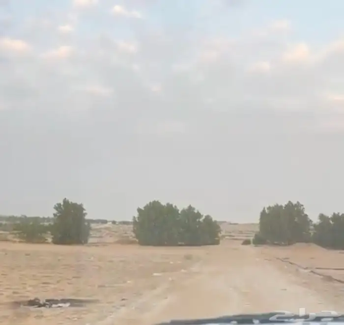 مزرعة للإيجار 2