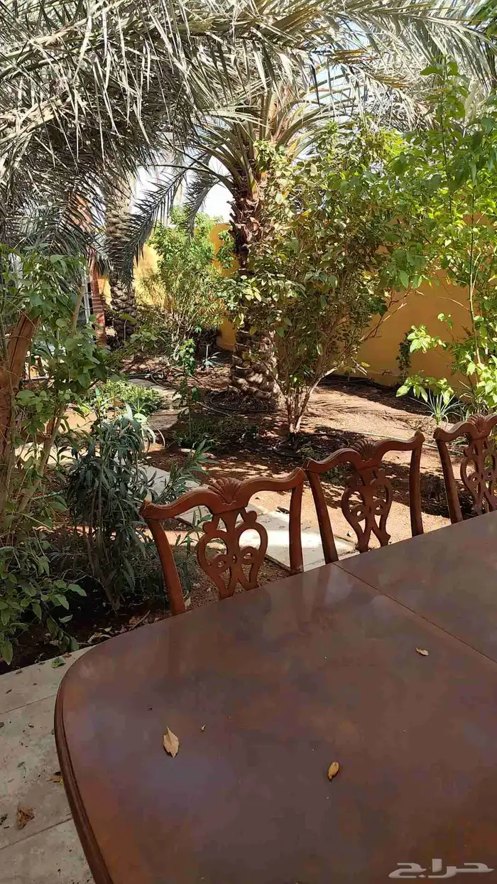 تنسيق حدائق 3