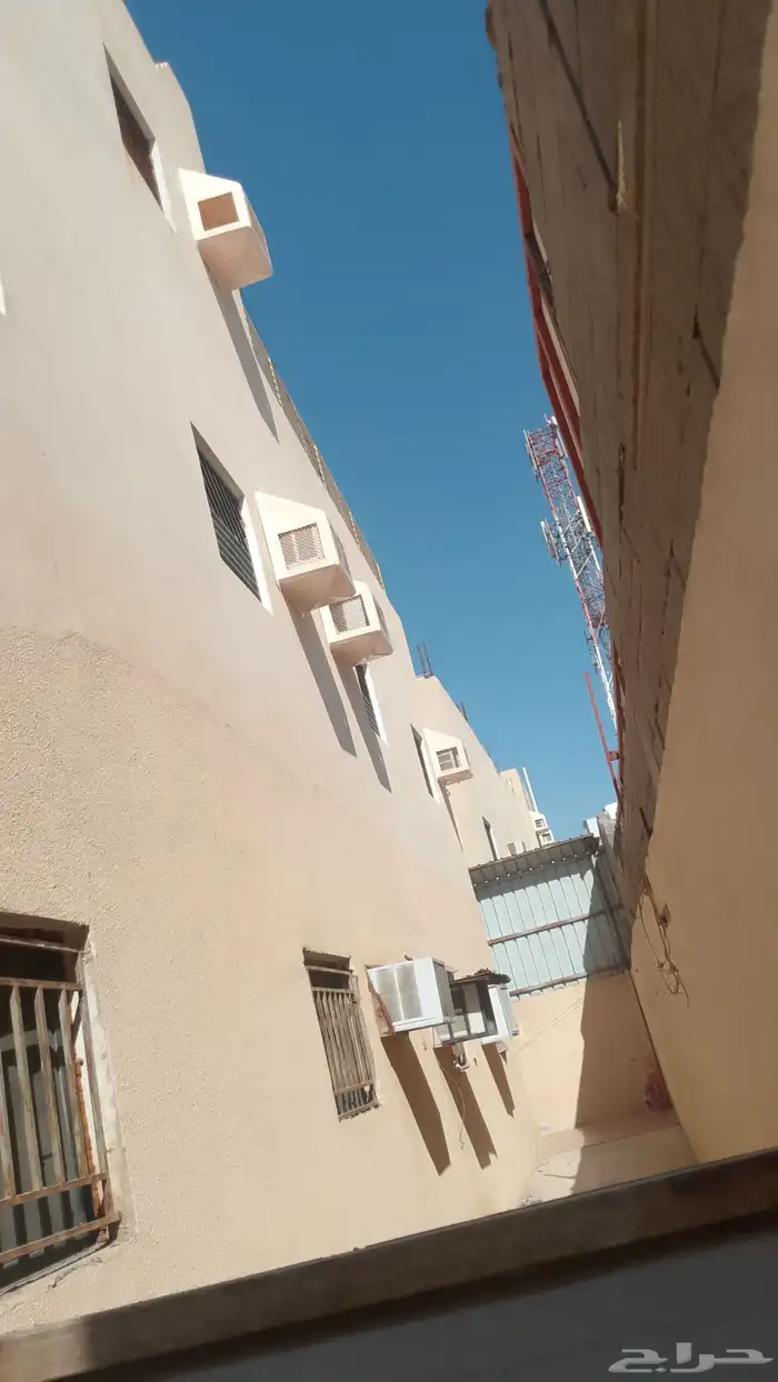 طاردوالحمام تركيب شبابيك شوك 0