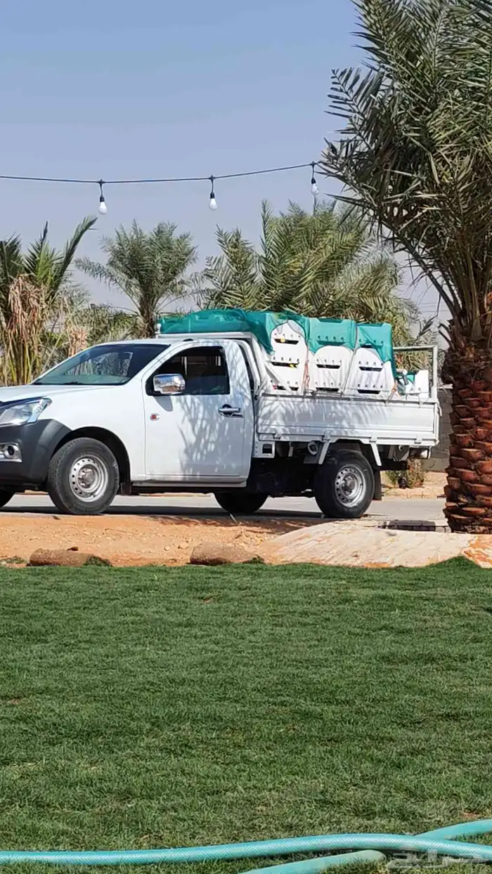 ثيل طبيعي سي 2000 درجه أولى تركيب توريد 4