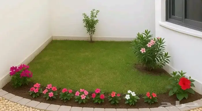 مشتل بيع الزهور والشتلات الزراعيه بجميع انواعها مع الصيانه ا 2