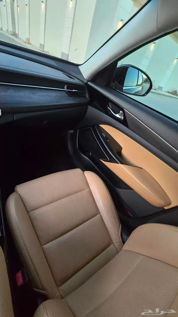 كادينزا 2020 k7 17