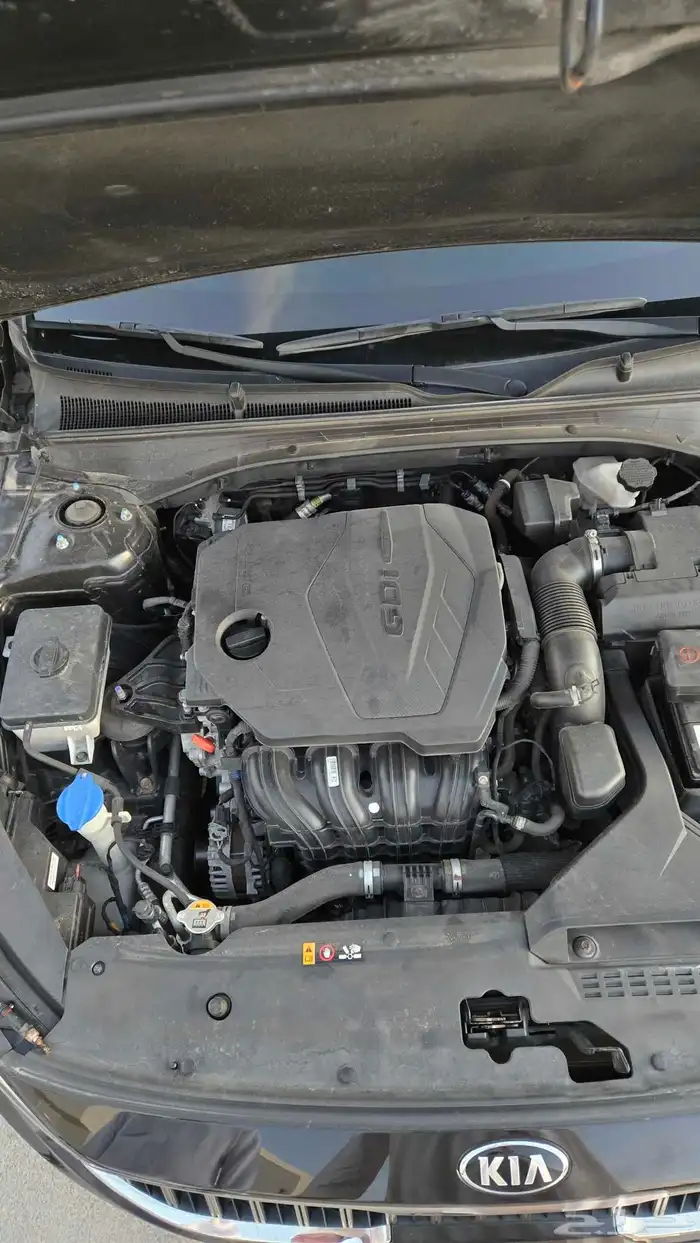 كادينزا 2020 k7 11