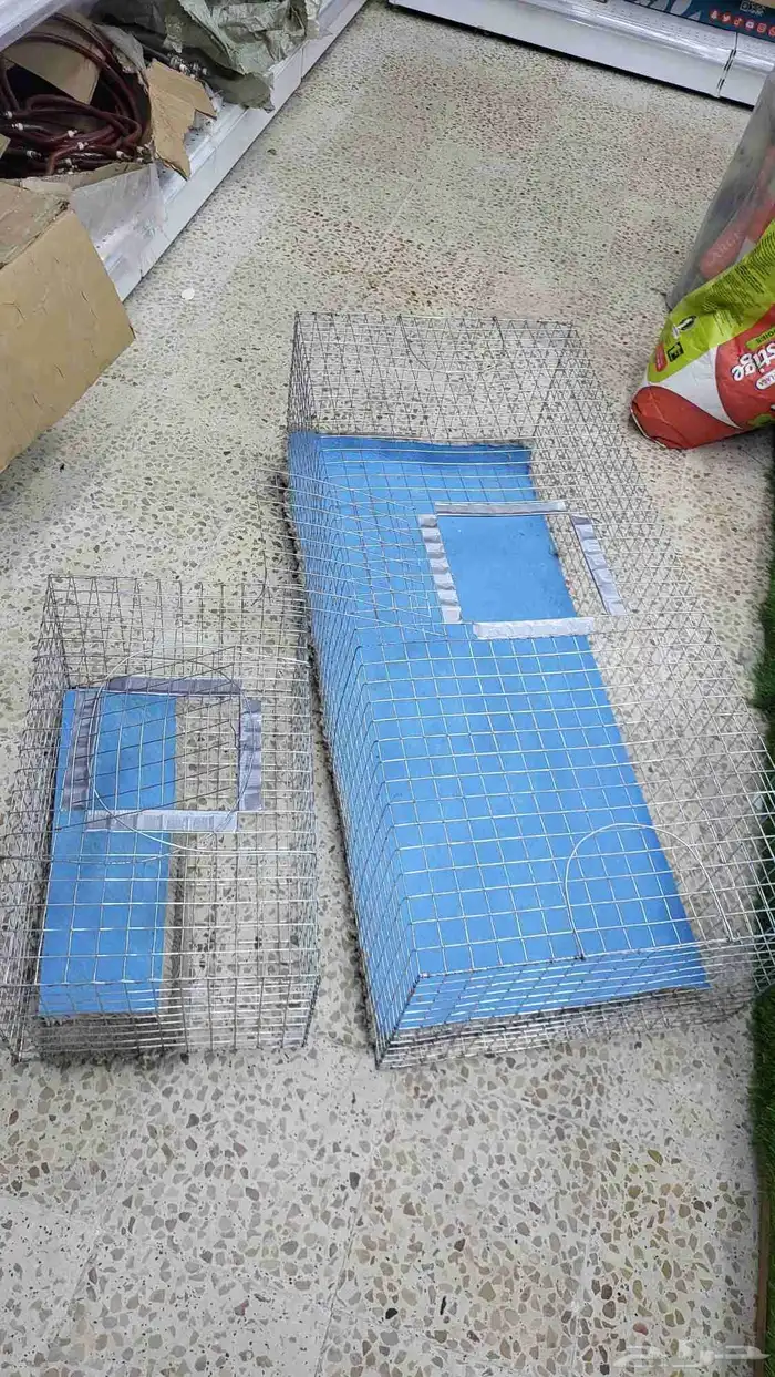 قراقير وشبوك عرض الطيور 2