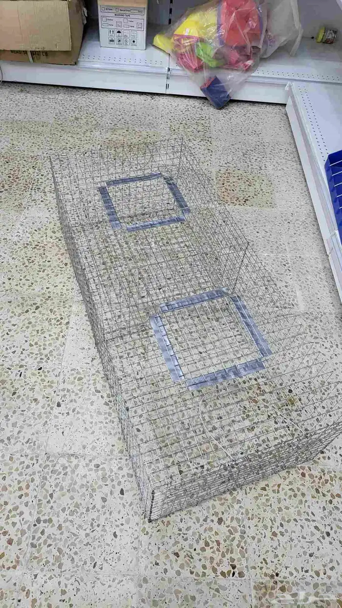 شبوك وقريب عرض ونقل الطيور 6