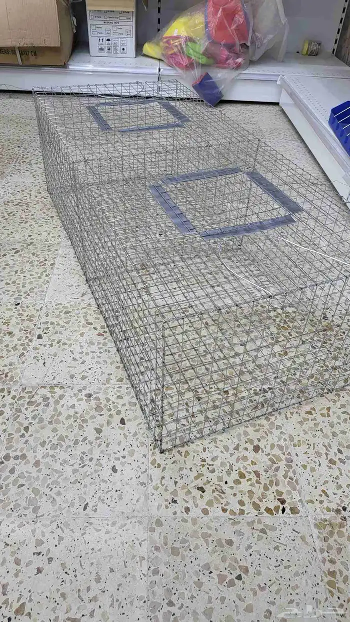 قراقير وشبوك عرض الطيور 1