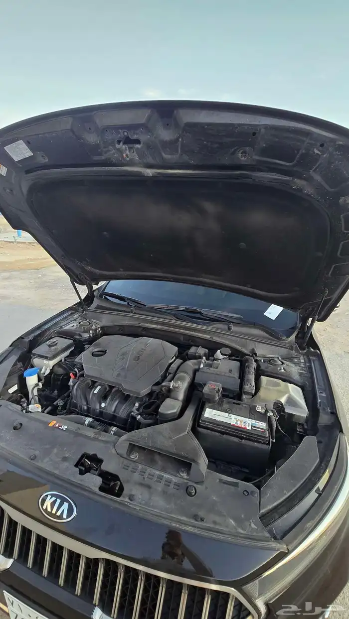 كادينزا 2020 k7 10