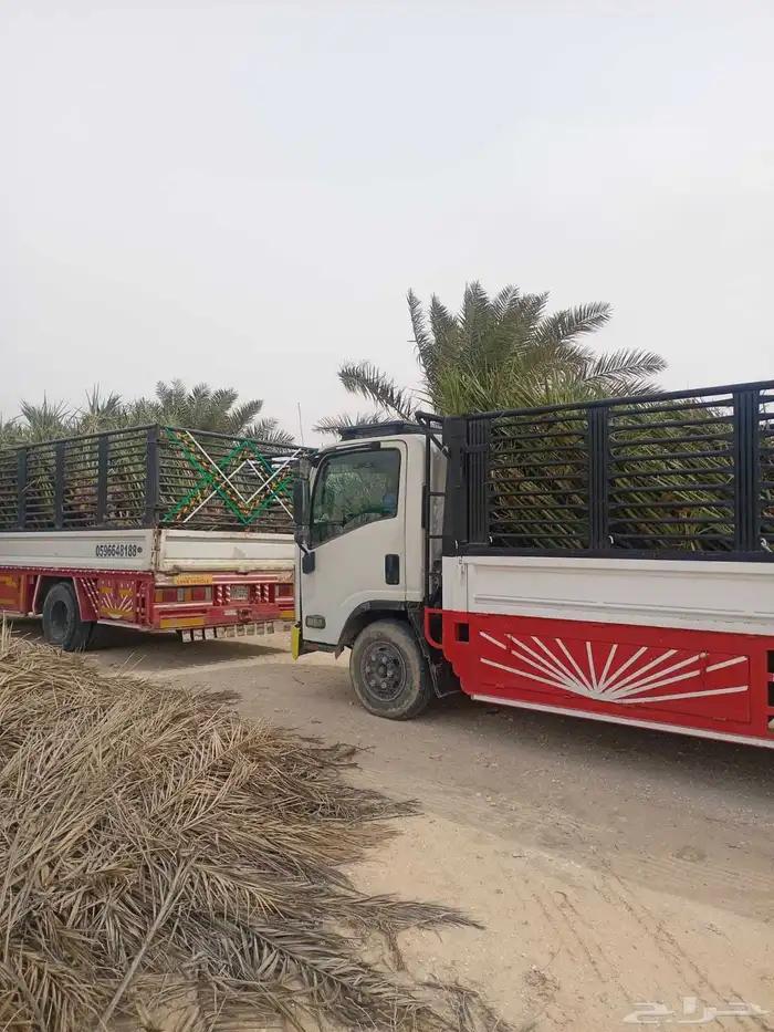 مقاول نخل عربي ونخل واشنطنيا مع اعماله قلع غرس تكريب وتحويض 26