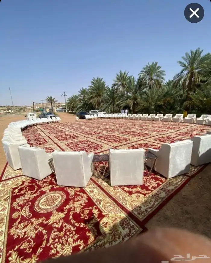 تاجير بالونات راقصه رايزلات كشافات تلوين واجهه المحل شاشات 3