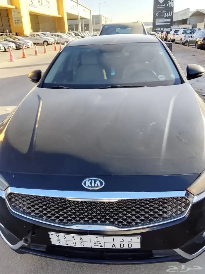 كي كادينزاء 0