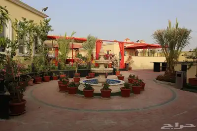 للبيع استراحة 820م حي الياقوت  جدة index