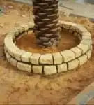 يوجد لدينا نخيل للبيع وتحويض النخيل بالحجار 9