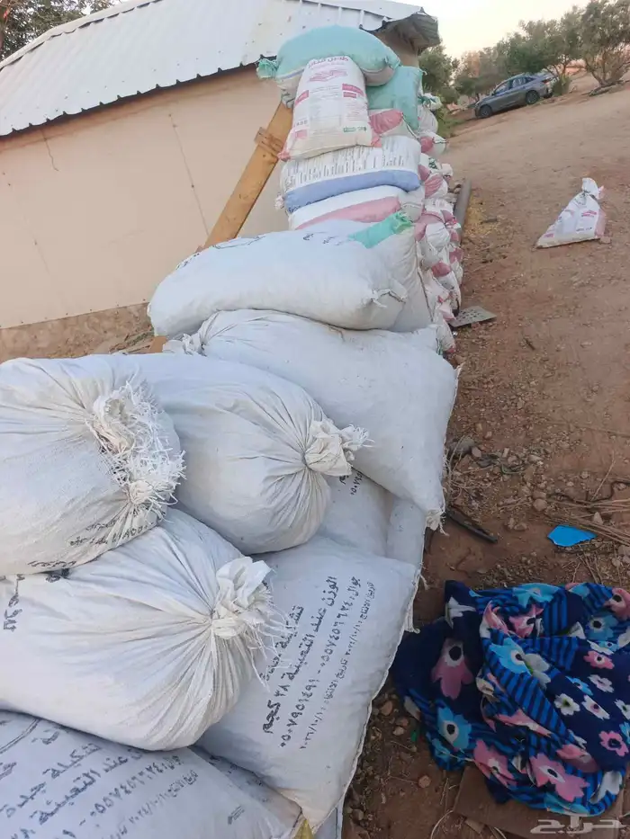 يوجد اكياس تمر للحلال للكميه (100) الموقع جلاجل 1