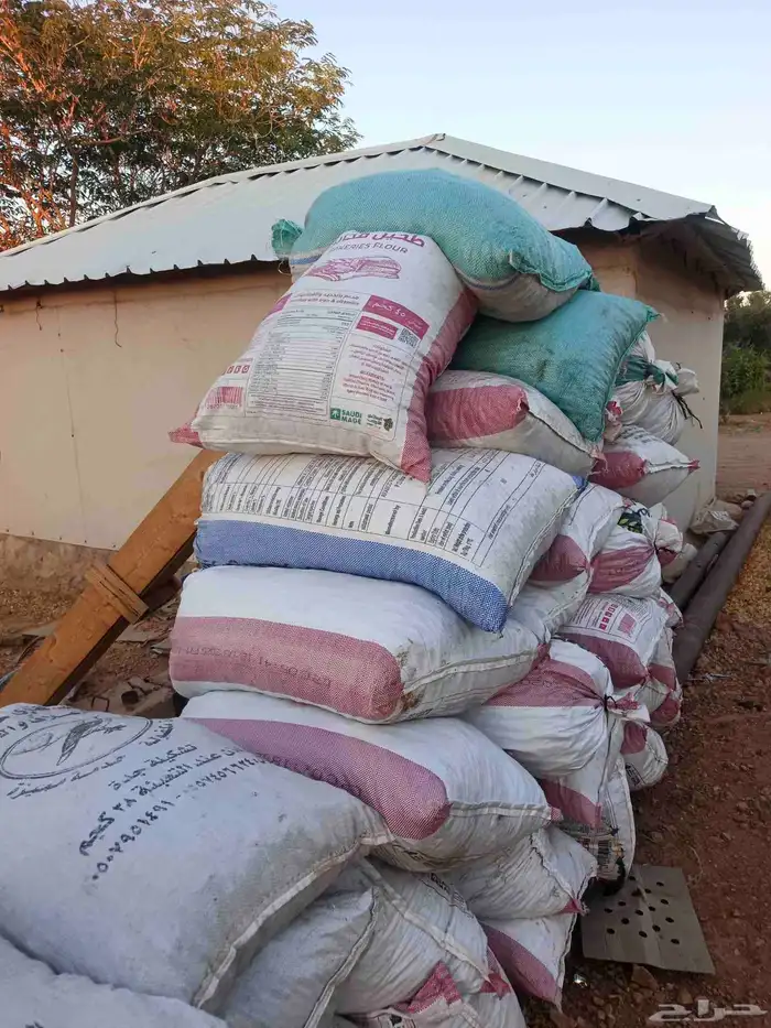 يوجد اكياس تمر للحلال للكميه (100) الموقع جلاجل 0