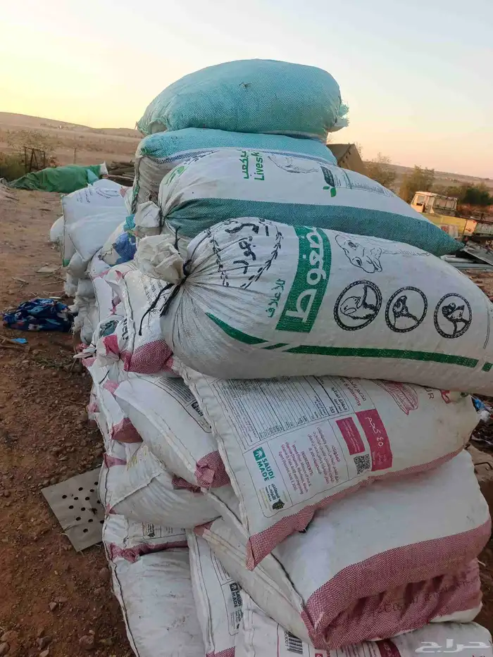 يوجد اكياس تمر للحلال للكميه (100) الموقع جلاجل 2