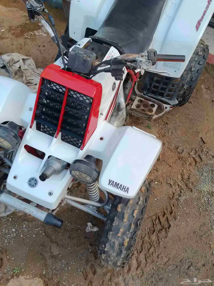 بانشي 350 للبيع 5