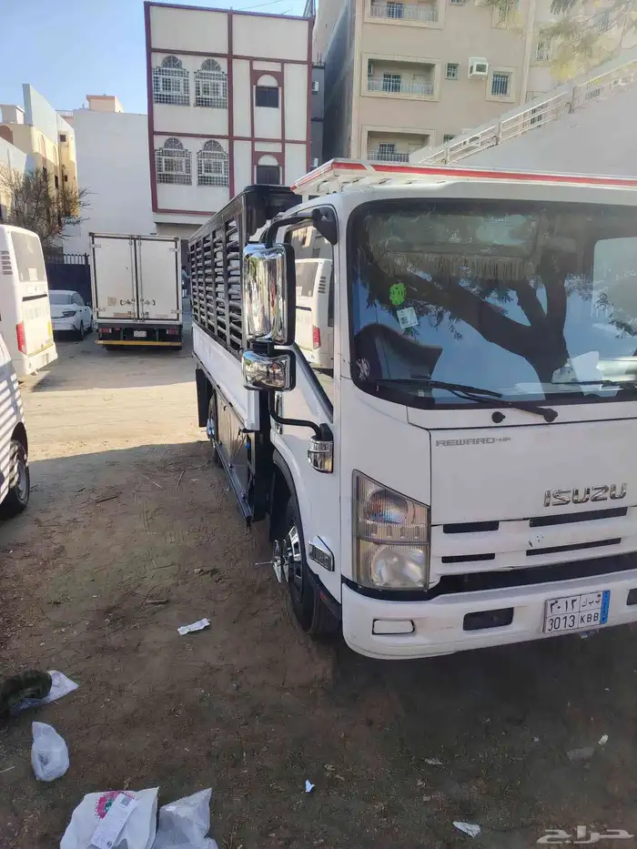 دينا أيسوزو 2016 5