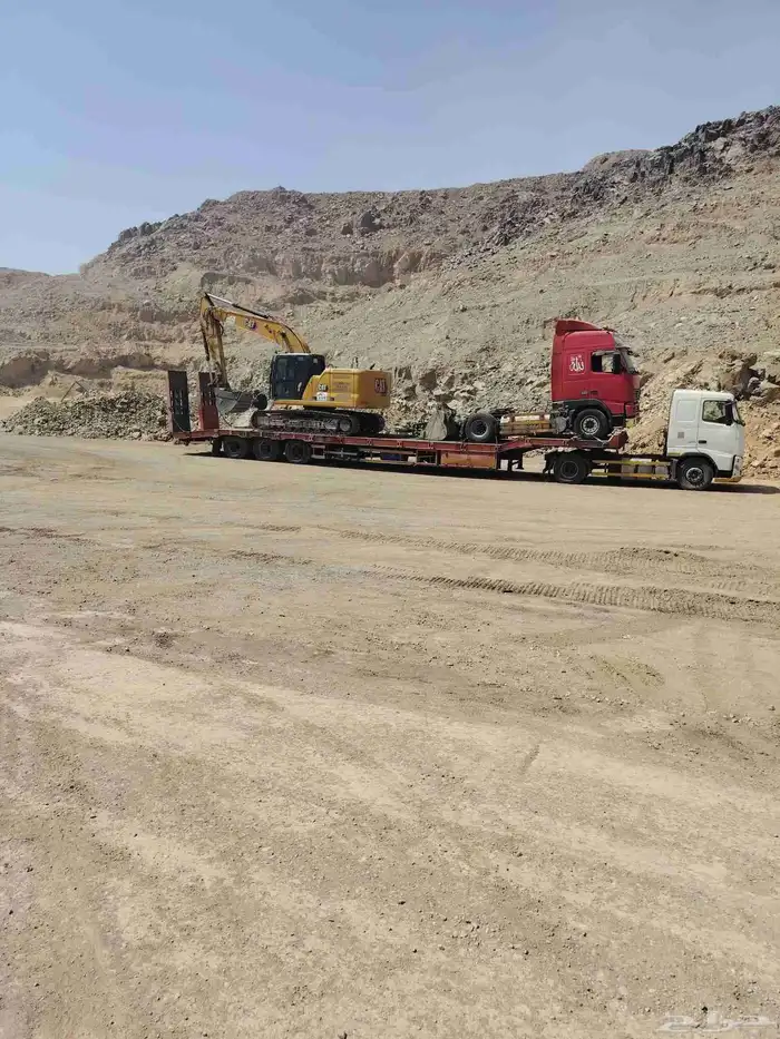 لوابد متواجد في المدينة المنورة على أي اتجاه 0