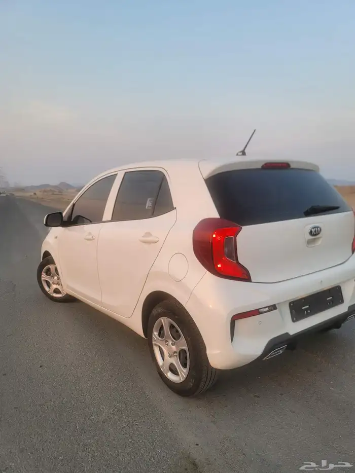 كيا مورنينق ( بيكانتو ) لشركات التوصيل كيتا و هنقر 8