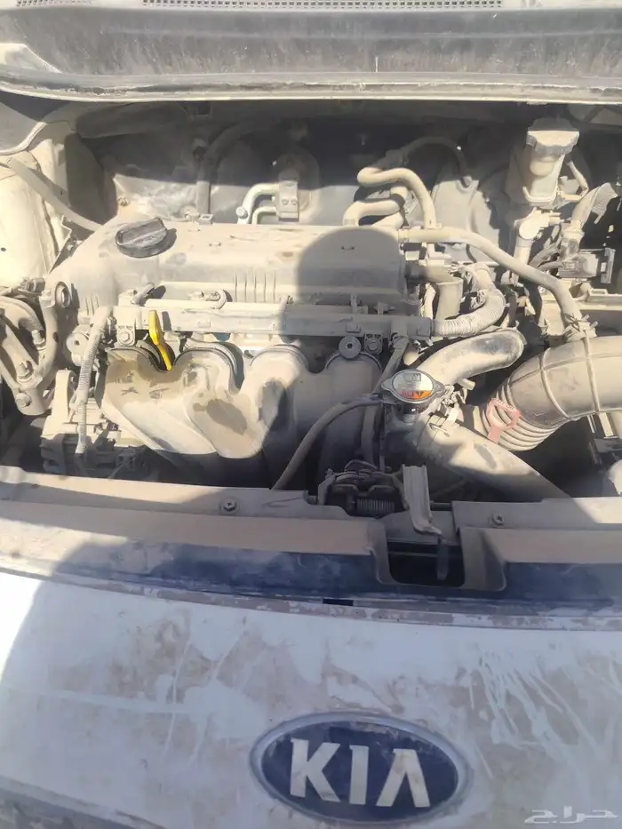 مكينه كيا ريو 2014 شد بلد 0