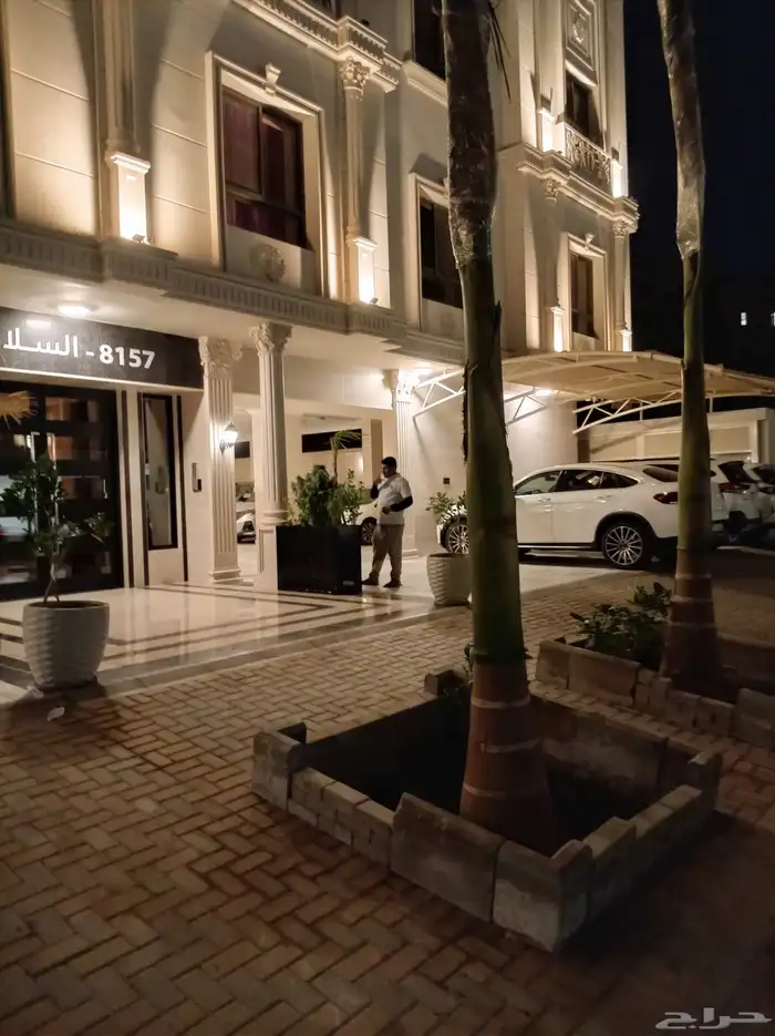 نخل للبيع جميع أنواعه ومقساته 32