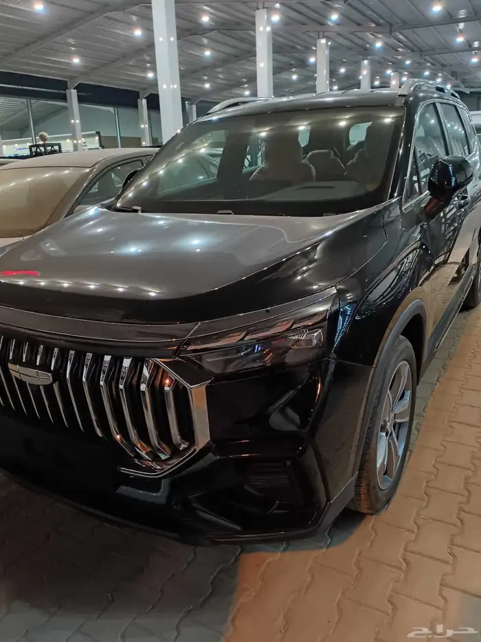 جيلي اوكافانجو 2025 0