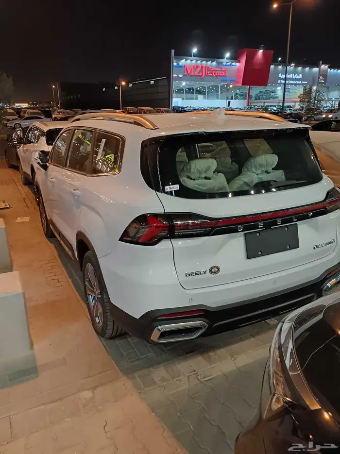 جيلي اوكافانجو 2025 4