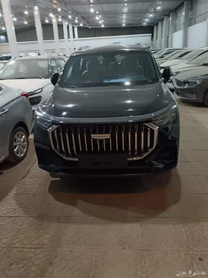 جيلي اوكافانجو 2025 1