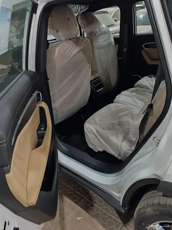 جيلي اوكافانجو 2025 6