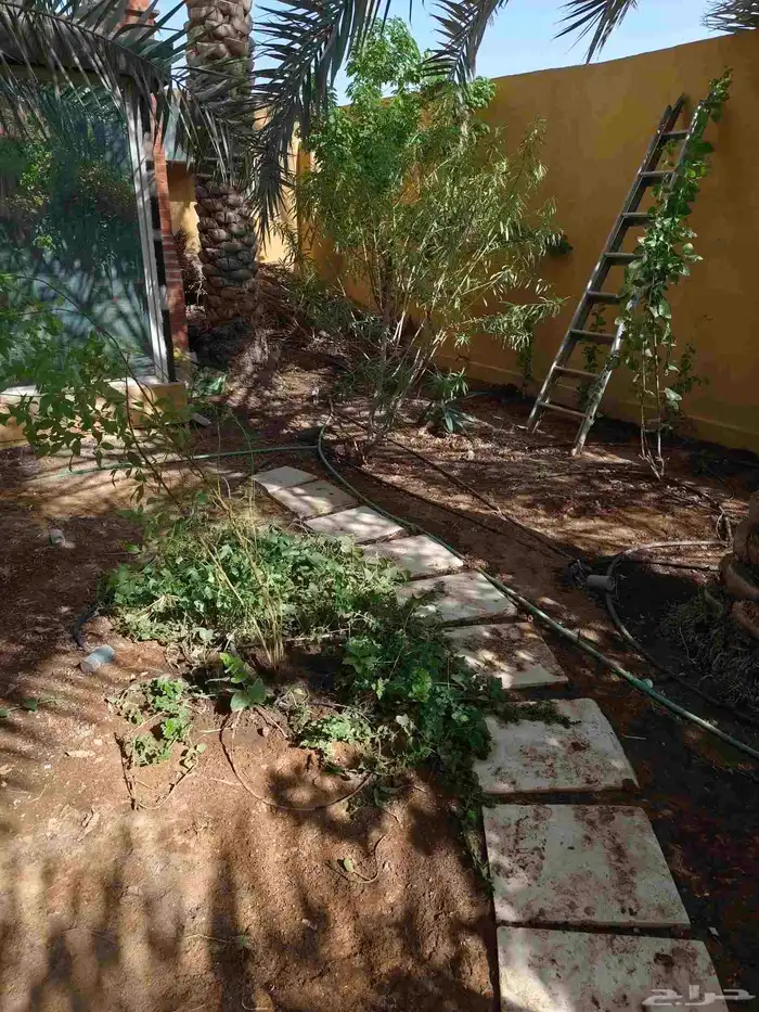 تنسيق حدائق 0