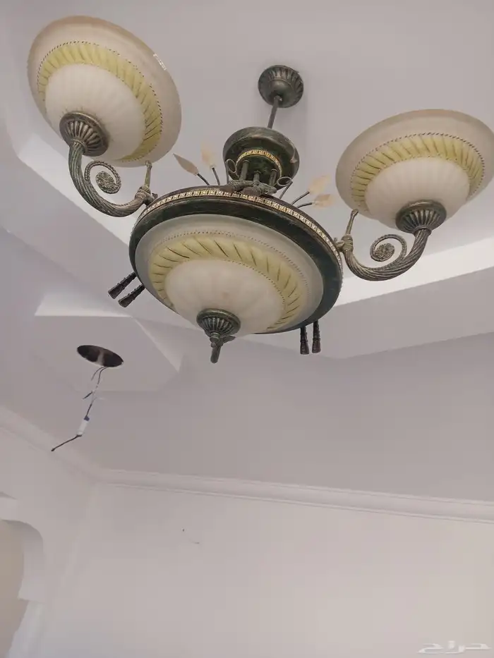 3 أبواب نظاف بكوالينهن و11 ثرياء 8