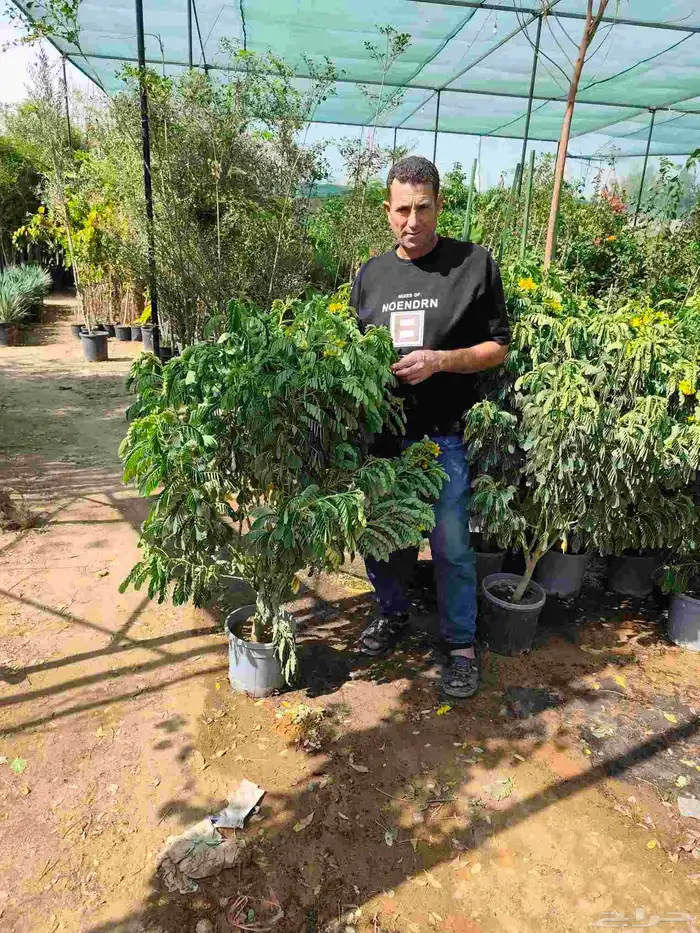 تنسيق حدائق 9