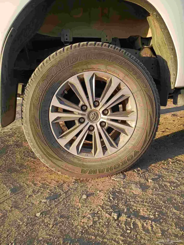 مطلوب جنوط نفس ذي الي في الصوره هايلقس24 0