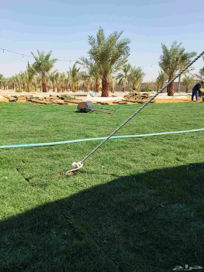 ثيل طبيعي سي 2000 درجه أولى تركيب توريد 0