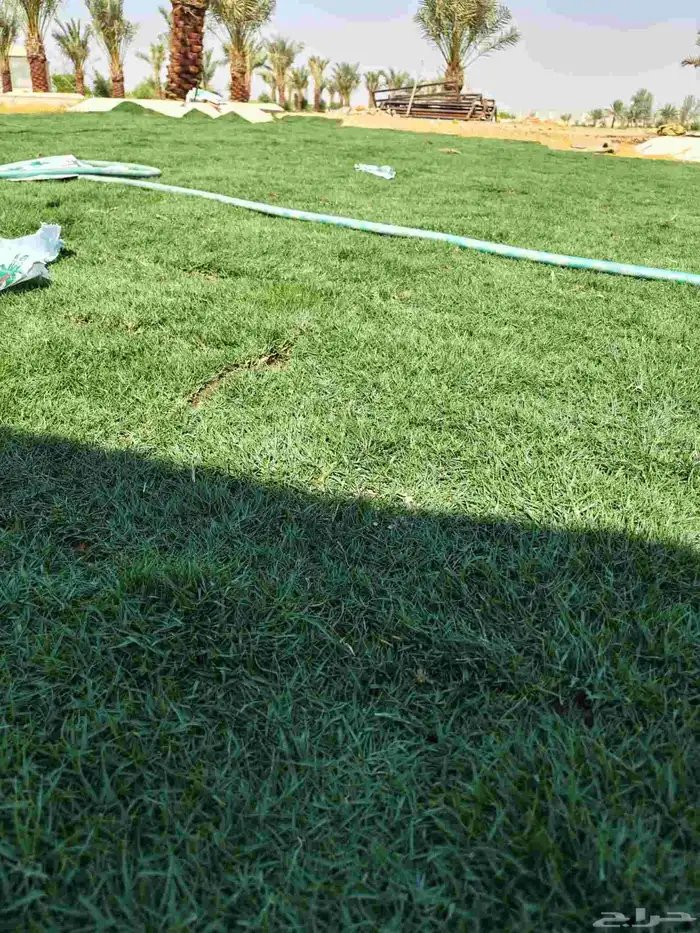 ثيل طبيعي سي 2000 درجه أولى تركيب توريد 2