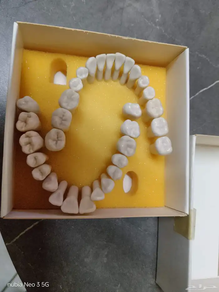 مجموعة أدوات اسنان المانية وامريكية 5