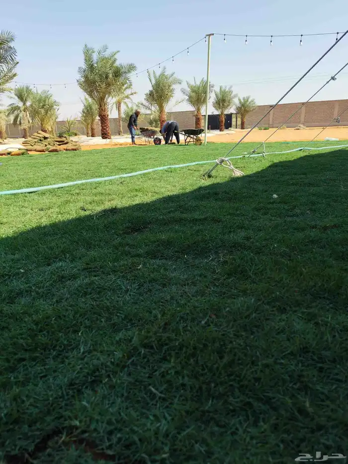 ثيل طبيعي سي 2000 درجه أولى تركيب توريد 1