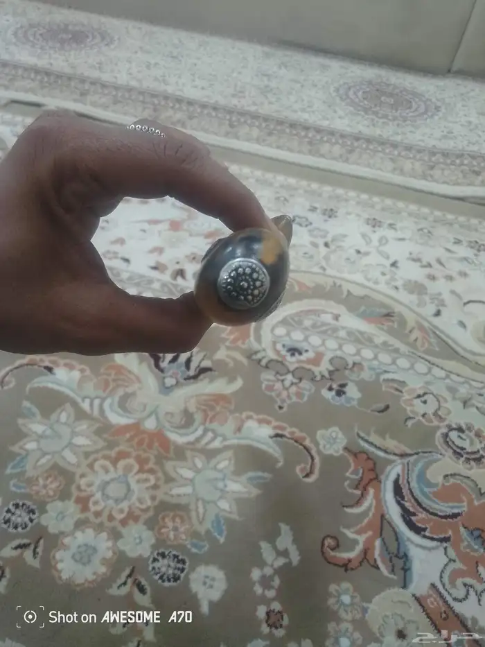 جنابي حضرميه اصيله وقديمه روس شبه الزراف من قرن البهيص الصاف 4