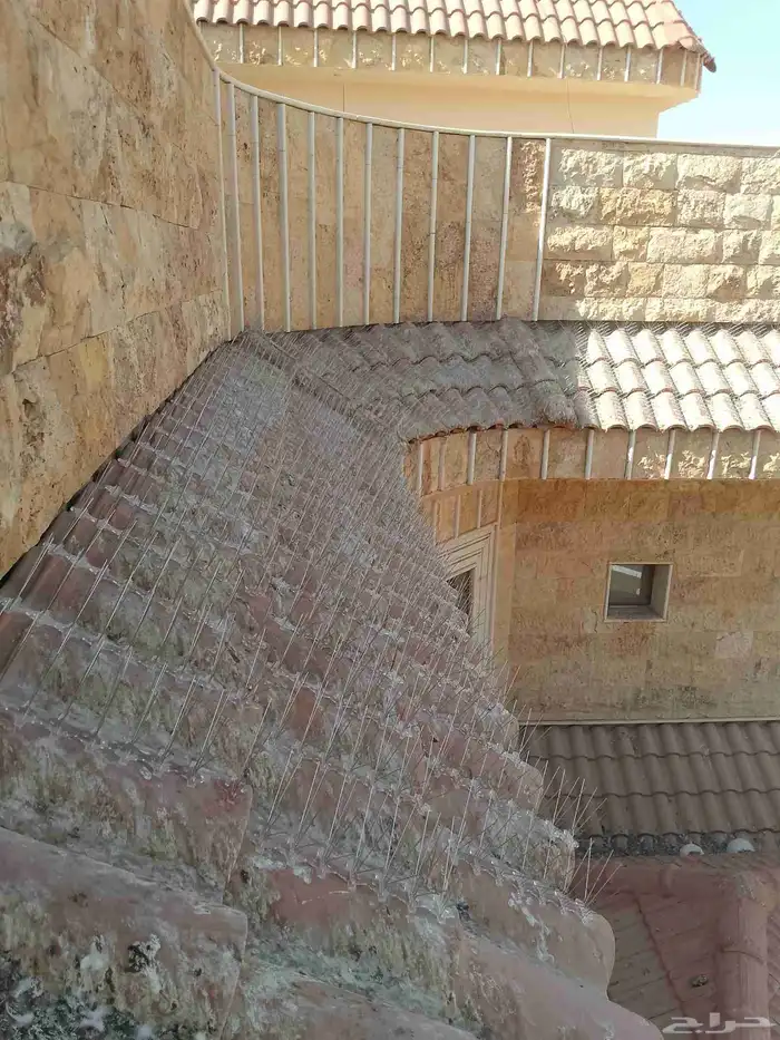 طاردوالحمام تركيب شبابيك شوك 8